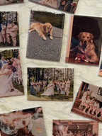 Custom 2.5x3.5 Hardback Fridge Magnet